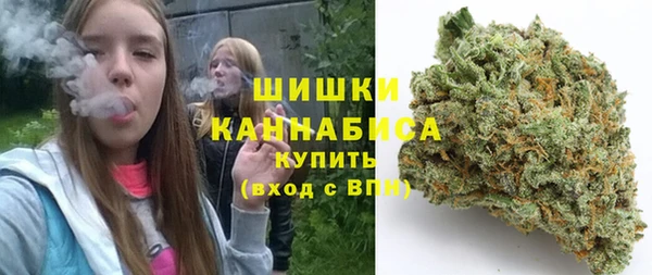 дмт Абаза