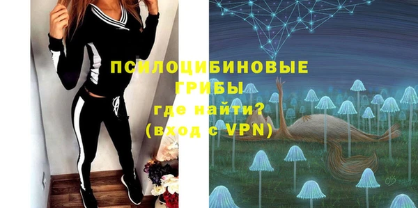 дмт Абаза