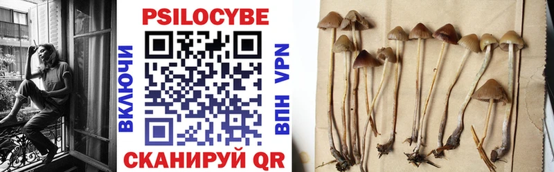 Галлюциногенные грибы Psilocybine cubensis  Иркутск 