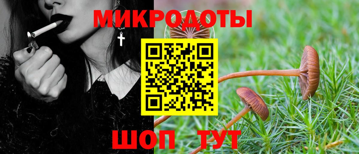закладка  Галлюциногенные грибы Magic Shrooms  Вход с VPN  Галлюциногенные грибы прущие грибы  Иркутск 