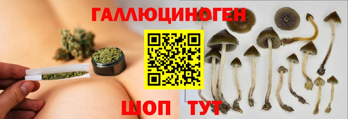 Галлюциногенные грибы MAGIC MUSHROOMS Иркутск